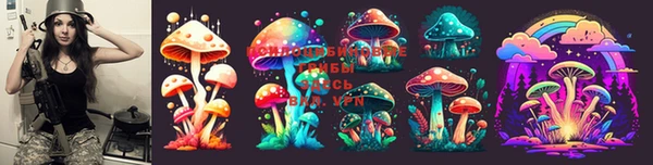 МДМА Медвежьегорск