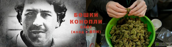 прущие крисы Мегион