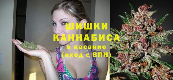 прущие крисы Мегион